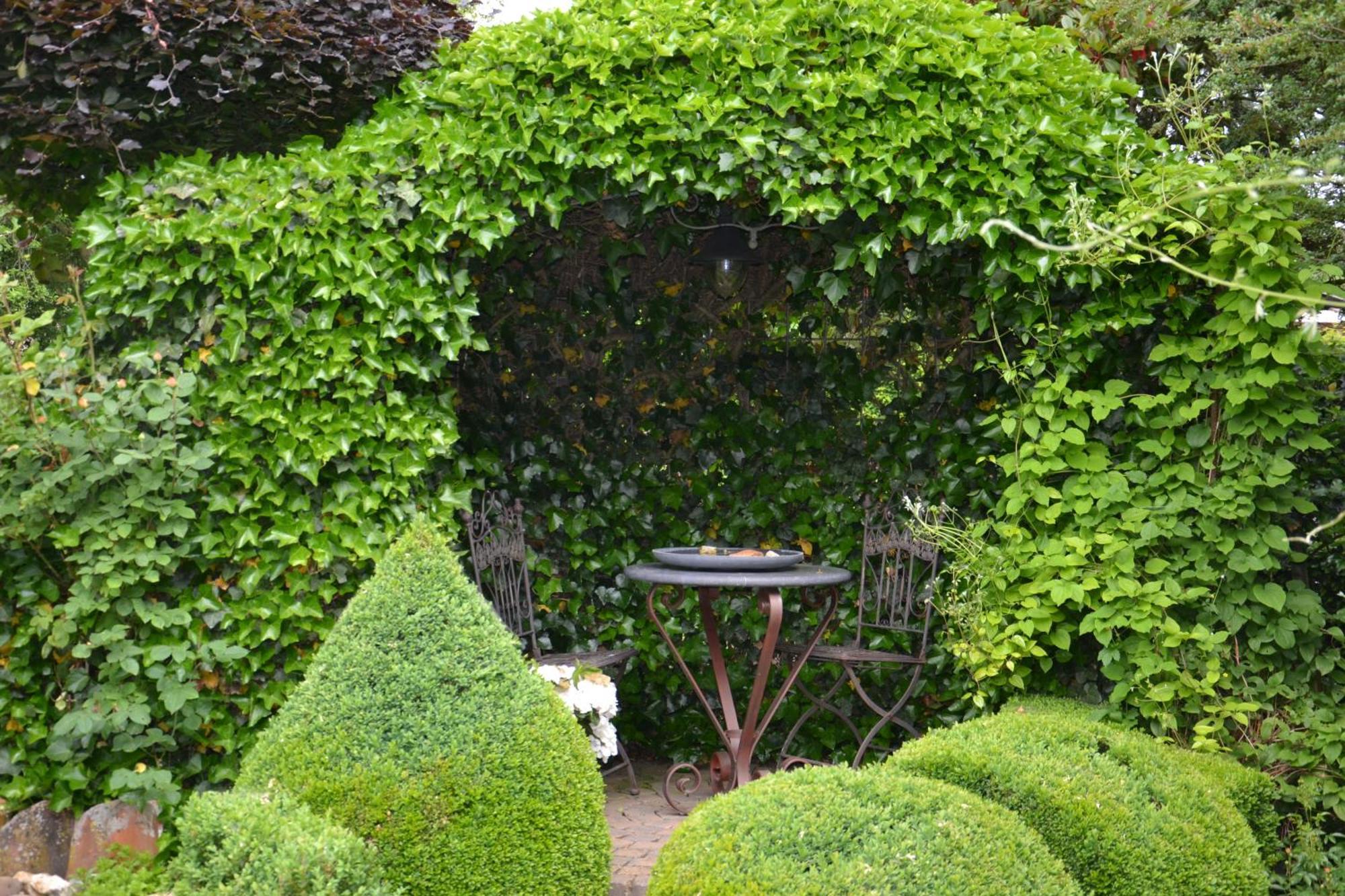 B&B Hof Te Spieringen 볼레젤 외부 사진